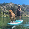 Women & Her Dog On The Pioneer Paddle Board