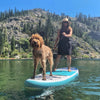 Women & Her Dog On The Pioneer Paddle Board