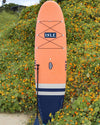 The Cruiser Paddle Board