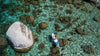 Person Paddling The Explorer Paddle Board On Lake Tahoe