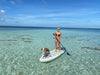 Women & Her Dog On The Pioneer Paddle Board